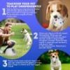 Automatic Dog Ball Launcher Machine