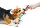 Dog Rope Toy Set for Small & Medium Dogs