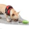 Food Dispensing Training Squeaky Leakage Ball Teething Toy Puzzle