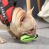 Food Dispensing Training Squeaky Leakage Ball Teething Toy Puzzle