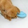 Interactive Puzzle Treat Dispensing Ball for Medium & Large Dogs