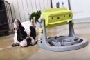 Pet Life 'Roto Paw' Interactive Rotating Slow Feeder