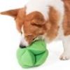 Snuffle Broccoli Dog Puzzle Toy