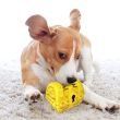 Treasure Chest Toothbrushing Squeaky Toy